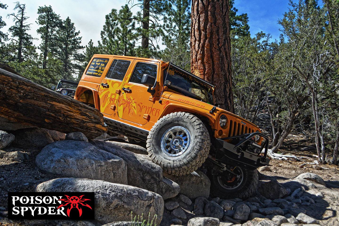 Venomous suspension and performance upgrades